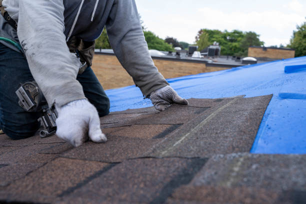 Best Roof Gutter Cleaning  in South Coventry, CT