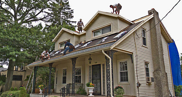 Best Metal Roofing Contractor  in South Coventry, CT